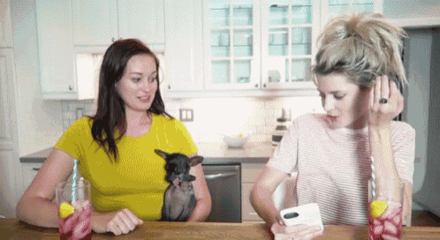 two women are sitting at a table with drinks and a small dog
