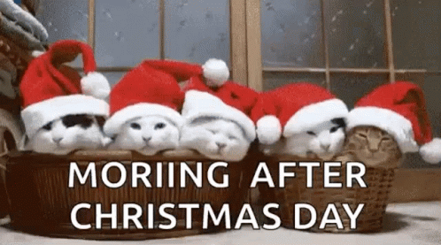 Day After Christmas GIFs | Tenor