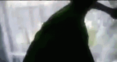 a close up of a person 's face in a dark room with a blurred background .