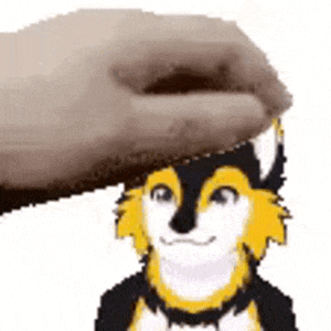 a hand is petting the head of a furry animal .