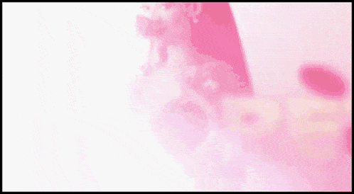 a woman is holding a rose in front of a pink background with the word elopette written on it .
