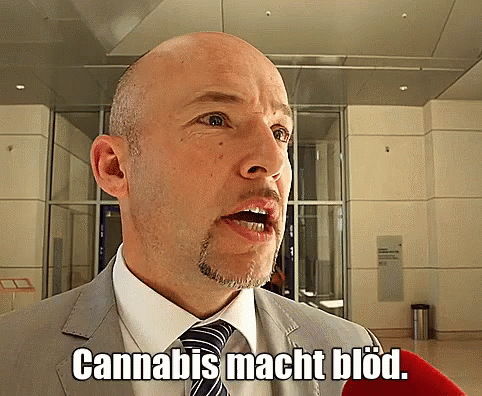 Cannabis Macht Blöd. GIF - Cannabis Blöd Csu GIFs