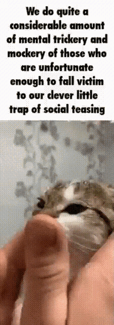 a cat is being held in someone 's hands with a caption that says we do quite a considerable amount