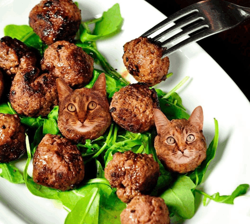 Cats Meat GIF - Cats Cat Meat GIFs