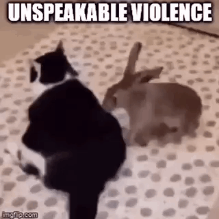 Violence Unspeakable GIF