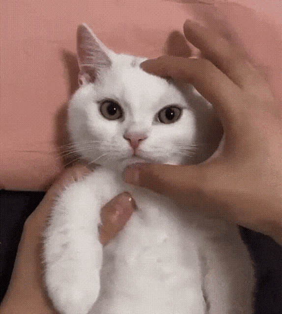 Happy Angry GIF - Happy Angry GIFs