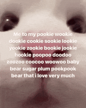 Pookie Wookie GIF