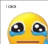 a smiley face with tears coming out of its eyes and the words `` i caca '' below it .