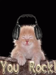 International Cat Day Cat Headphones GIF - International Cat Day Cat Headphones You Rock GIFs