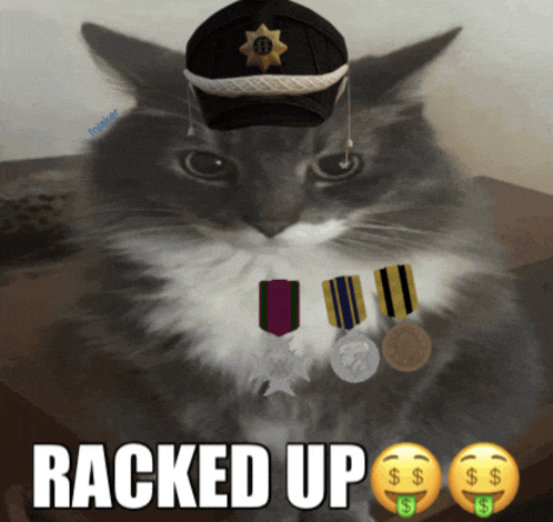 a cat wearing a hat and medals with the words racked up