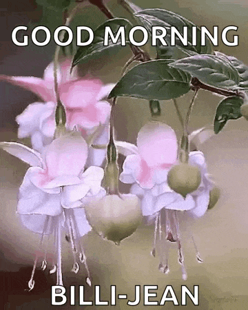 a bunch of pink and white flowers with the words `` good morning billi-jean '' written on them .