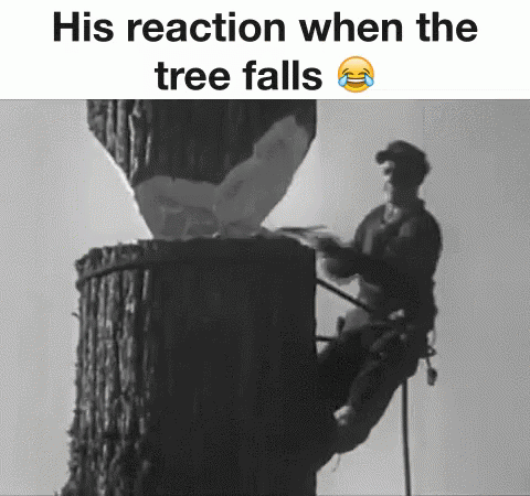 Reaction Chop GIF - Reaction Chop Tree GIFs