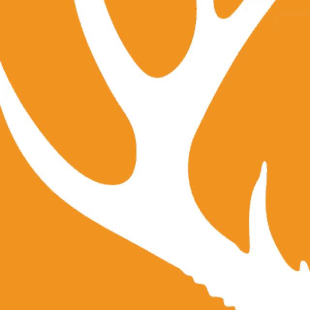a silhouette of a deer antlers against an orange background