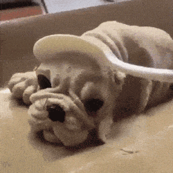 a statue of a dog wearing a hat and a spoon