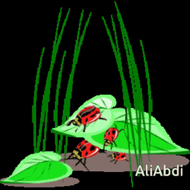 a ladybug is sitting on a green leaf with the name aliabdi written below it