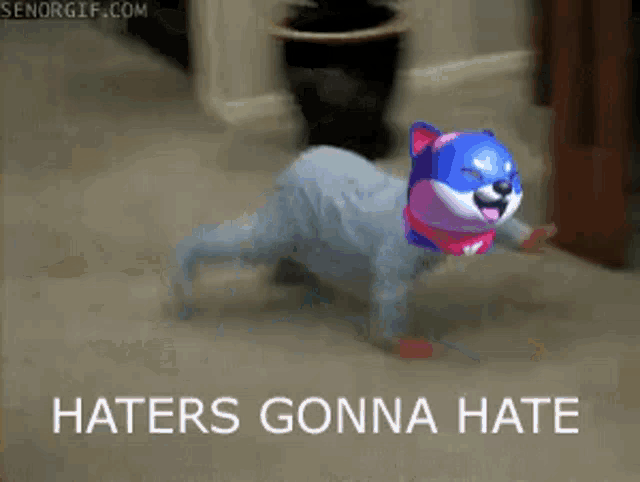 a picture of a toy cat with the words haters gonna hate below it