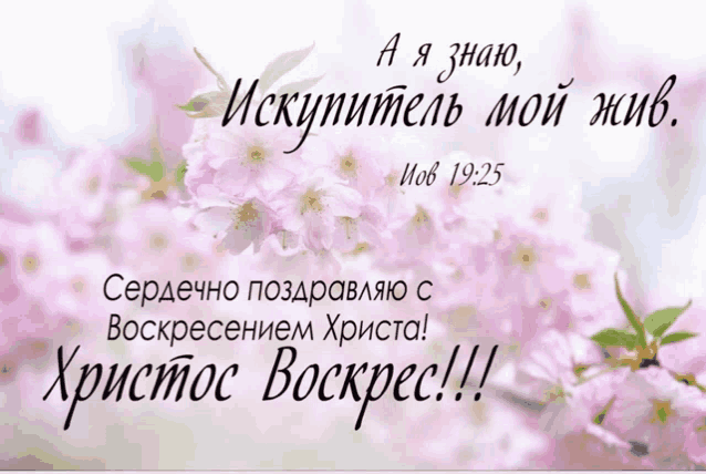 a greeting card in a foreign language with pink flowers on the background