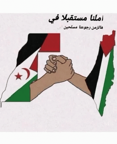 فلسطين Western Sahara GIF - فلسطين Western Sahara Sahara Occidental GIFs