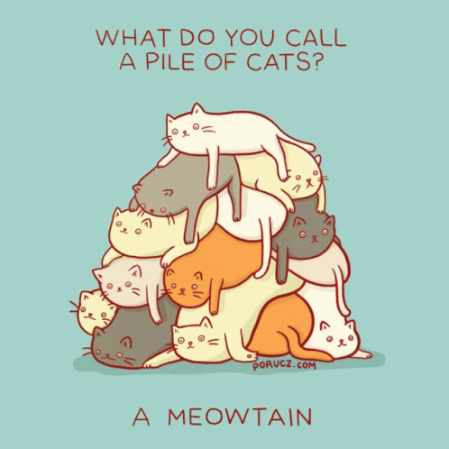 Pile Cats GIF - Pile Cats Cute GIFs
