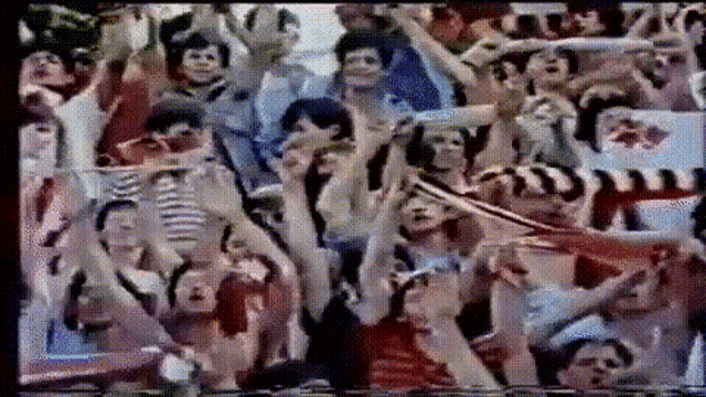 Crvena Zvezda Delije Sever GIF