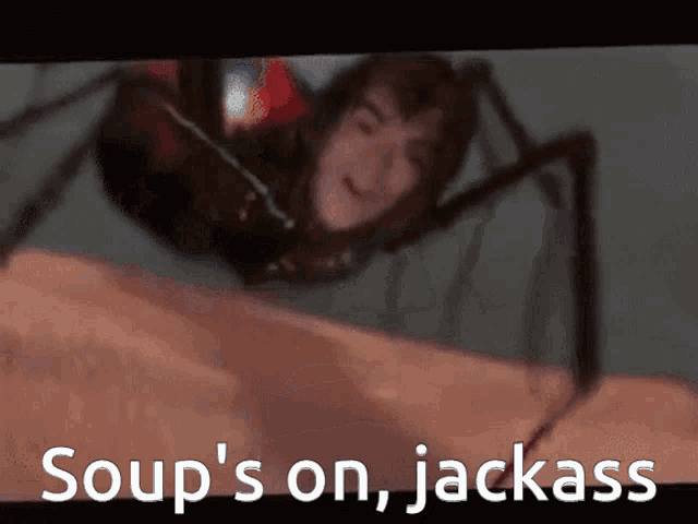 a picture of a spider with the words soup 's on jackass on the bottom