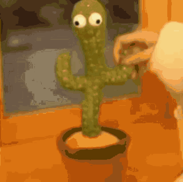 Kaktus GIF - Kaktus GIFs