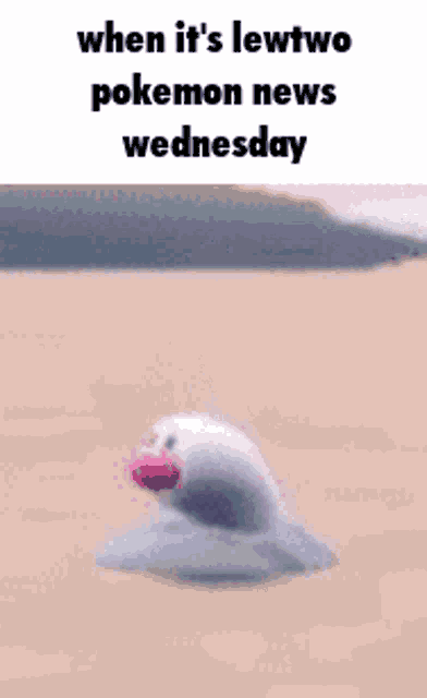 a white bird with a pink beak is standing in the sand on a beach .