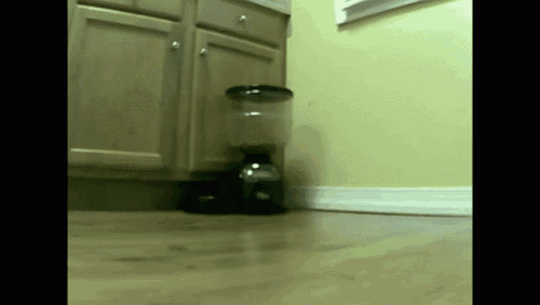 a coffee grinder is sitting on a wooden floor in a kitchen