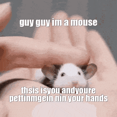 Mouse Rat GIF - Mouse Rat Baby GIFs