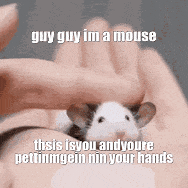 a person holding a mouse with the caption guy guy im a mouse this is you and youre pettinmgein nin your hands