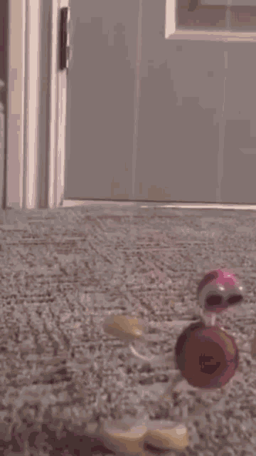 a bunch of balls are laying on the floor in a room .