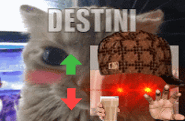 a cat wearing a hat and holding a glass of milk has the word destini on its face