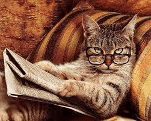 a cat wearing glasses is reading a newspaper while sitting on a couch .
