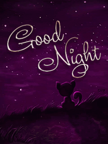 Gute Nacht Good Night GIF - Gute Nacht Good Night Cat GIFs