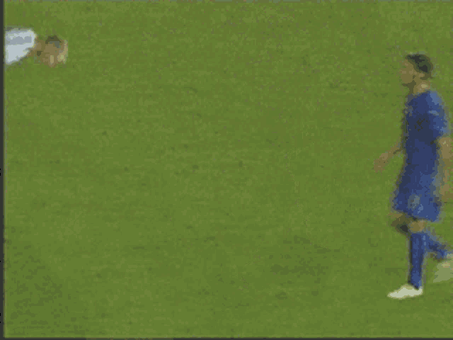 a soccer player in a blue jersey stands next to a player in a white shirt