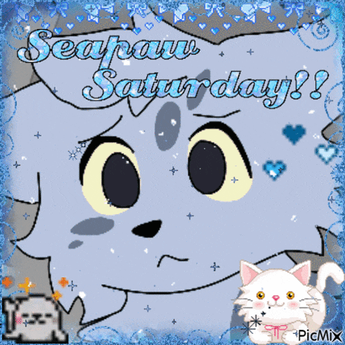 a seapaw saturday greeting card with a cat
