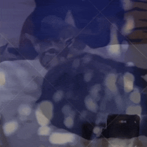 a blurred image of a person 's face with a tiger on the bottom right