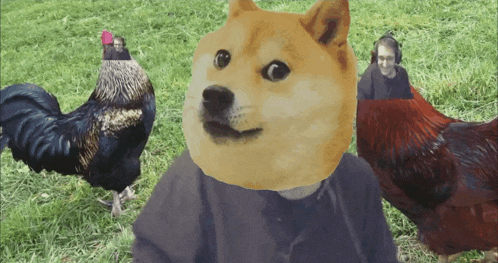 a dog with a doge head standing next to a rooster