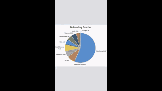 a pie chart showing the leading causes of death in sa
