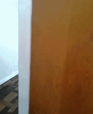 a brown door with a white trim is open to a hallway