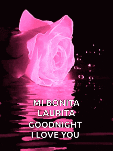 a pink rose is reflected in the water and says goodnight i love you