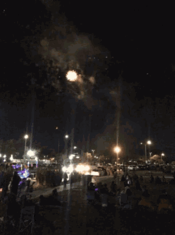 a firework display is being watched by a crowd of people
