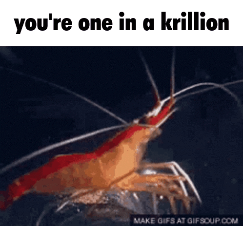 Krill Krillion Shrimple GIF - Krill Krillion Shrimple GIFs
