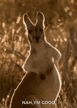 a kangaroo with a baby in its pouch is standing in a field and says nah , i 'm good .