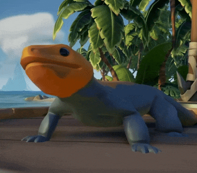 a lizard with a yellow head is standing on a beach