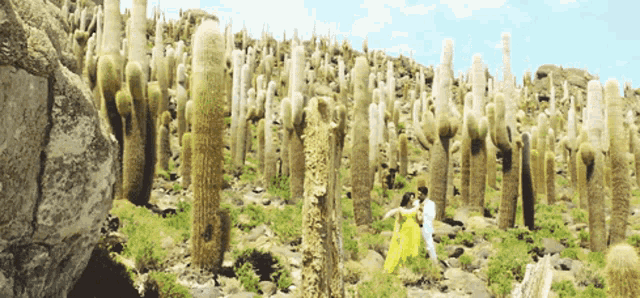 a woman in a yellow dress and a man in a white shirt are standing in a field of cactus