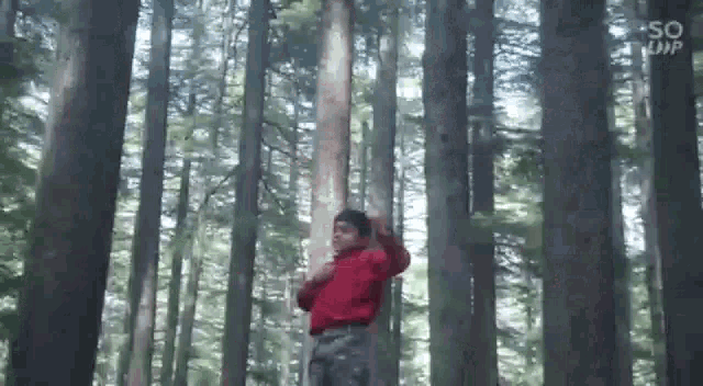 a man in a red shirt is standing in a forest .
