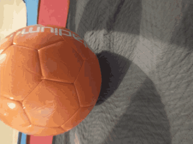 an orange adium soccer ball is laying on a blanket