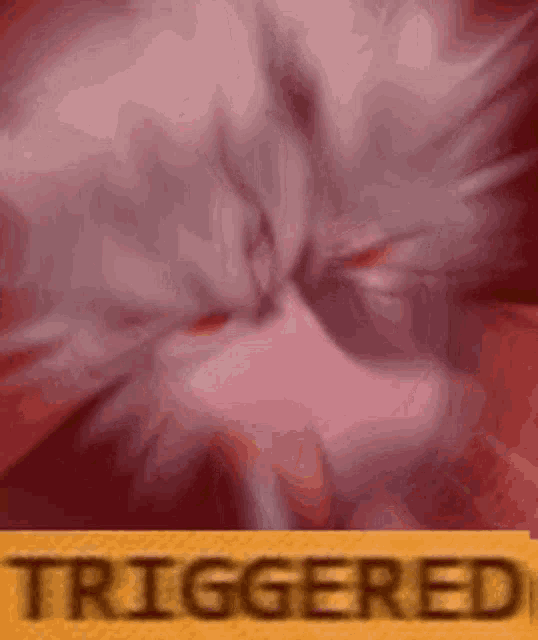 a close up of a person 's face with the word triggered written on it .