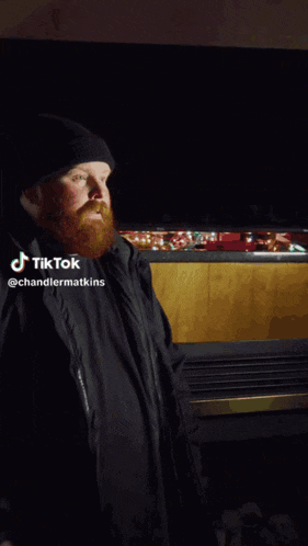 a man with a beard is standing in front of a tv with a sonic the hedgehog on the screen